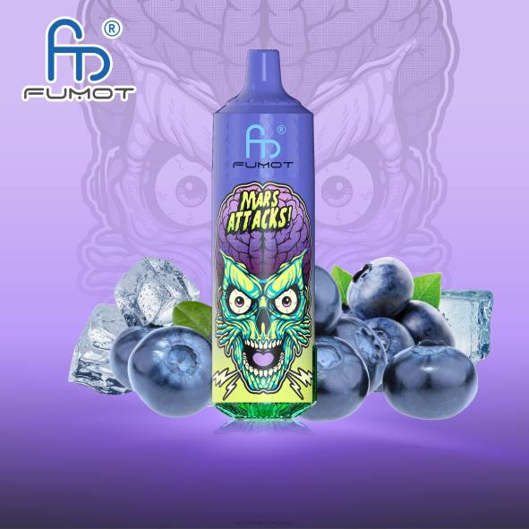 RandM Tornado Bruxelles | glace aux myrtilles Fumot RandM Tornado Appareil de vape 9000 pro avec batterie et écran ejuice version 1 D8Z6185